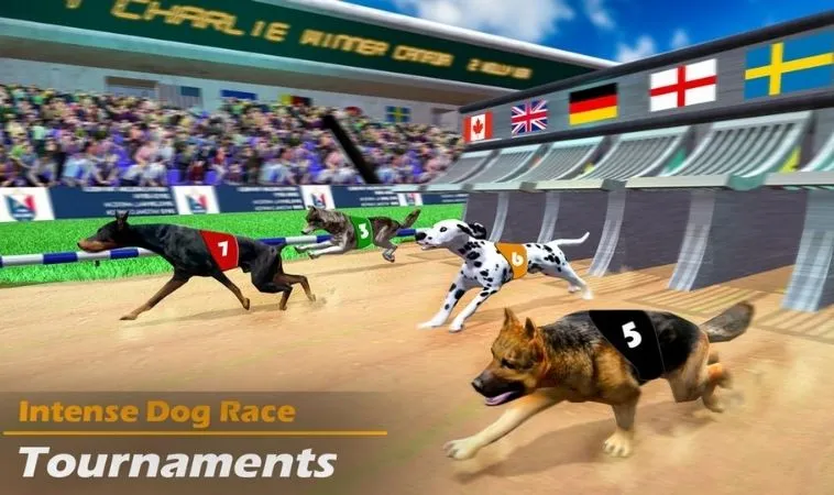 Giao diện chơi game nhanh Đua Chó tại HB88